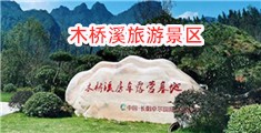 正在干逼屄视频